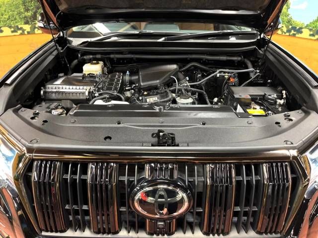 Toyota PRADO 2021-09 193502-18