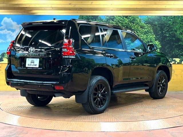 Toyota PRADO 2021-09 193502-17