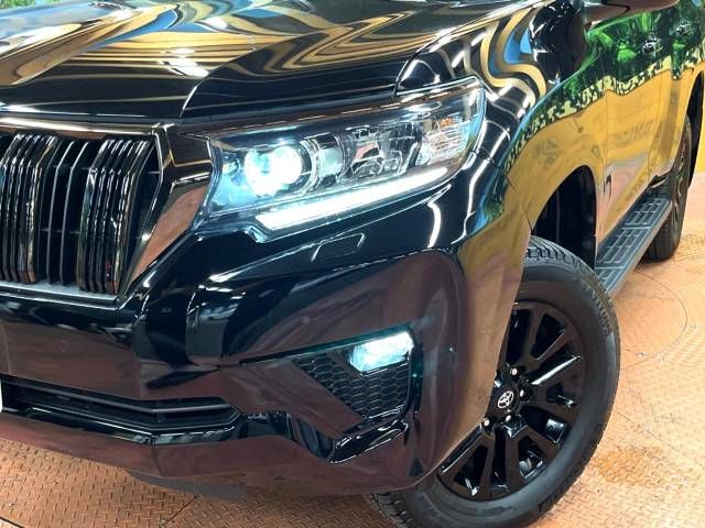 Toyota PRADO 2021-09 193502-12