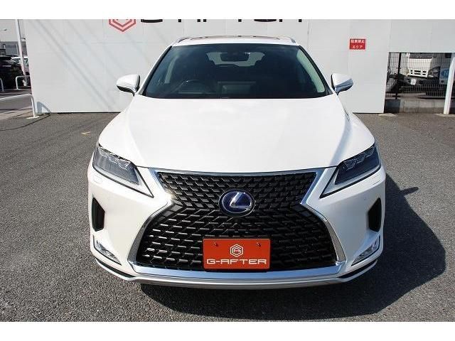 Lexus RX 2020-01 15485-7