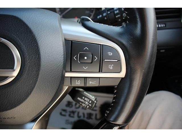 Lexus RX 2020-01 15485-6