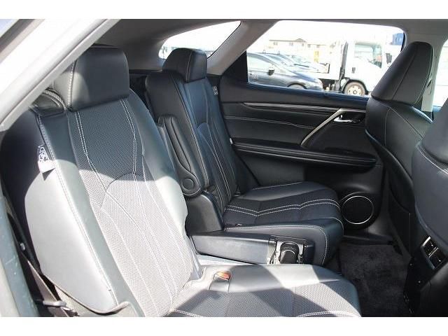 Lexus RX 2020-01 15485-15