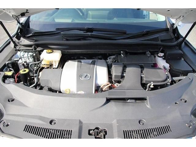 Lexus RX 2020-01 15485-18