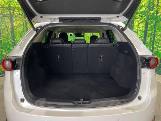 Mazda CX-5 2018-06 11121-10
