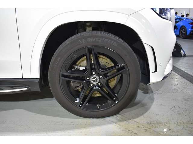 Mercedes Benz GLS-CLASS 2021-08 187145-6