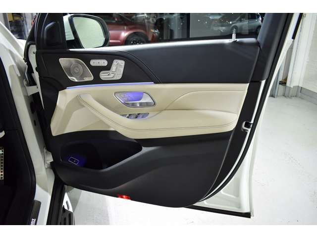 Mercedes Benz GLS-CLASS 2021-08 187145-5