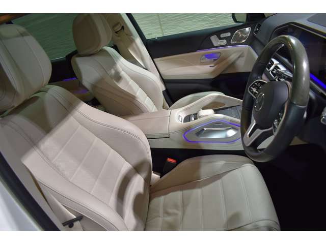 Mercedes Benz GLS-CLASS 2021-08 187145-3