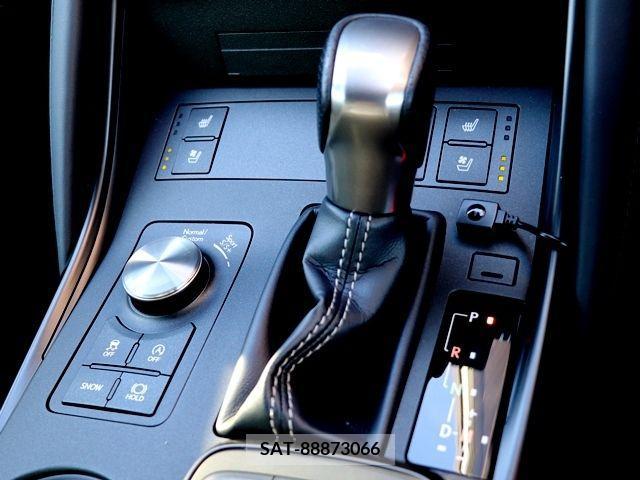 Lexus IS 2021-01 334425-19