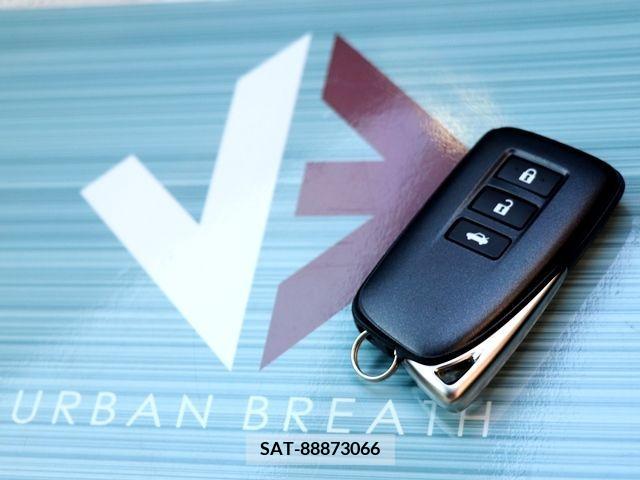 Lexus IS 2021-01 334425-25