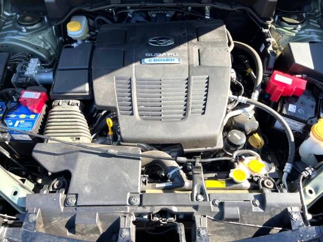 Subaru FORESTER 2019-03 184636-13