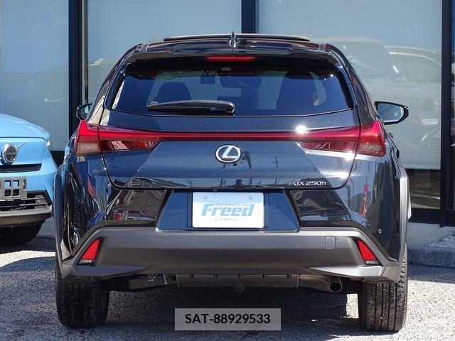 Lexus UX 2022-09 212689-10