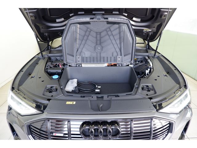 Audi E-TRON 2023-02 11988-11