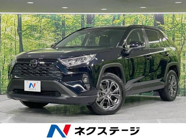 Toyota RAV4 2022-04 193641-0