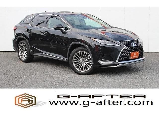 Lexus RX 2020-02 10600-0