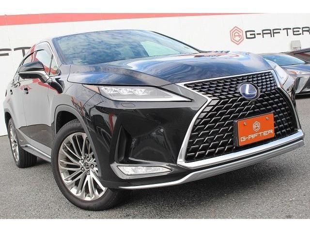 Lexus RX 2020-02 10600-10