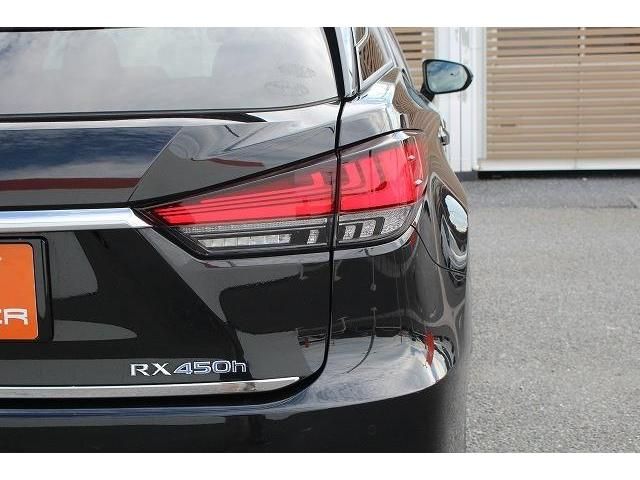 Lexus RX 2020-02 10600-11