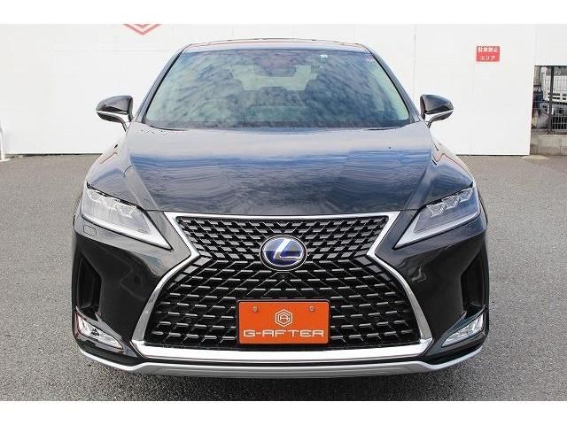Lexus RX 2020-02 10600-5