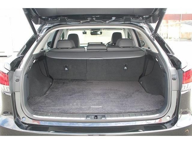 Lexus RX 2020-02 10600-16