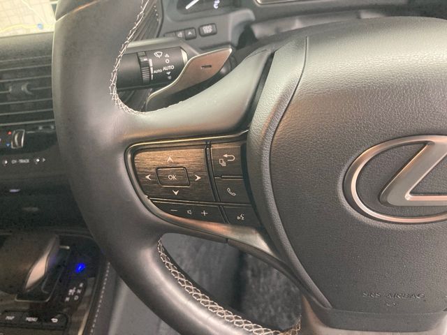Lexus LS 2018-02 773-14