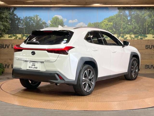 Lexus UX 2020-07 180603-17