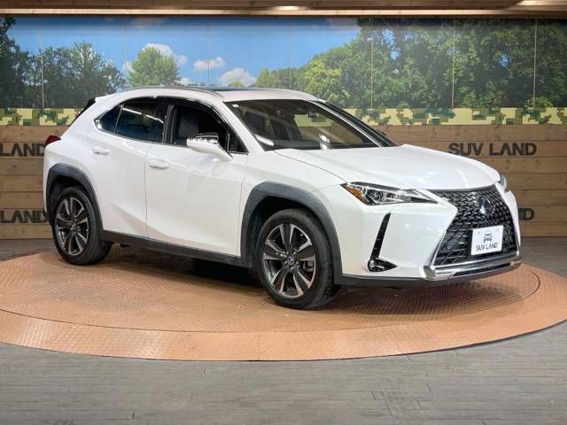 Lexus UX 2020-07 180603-16
