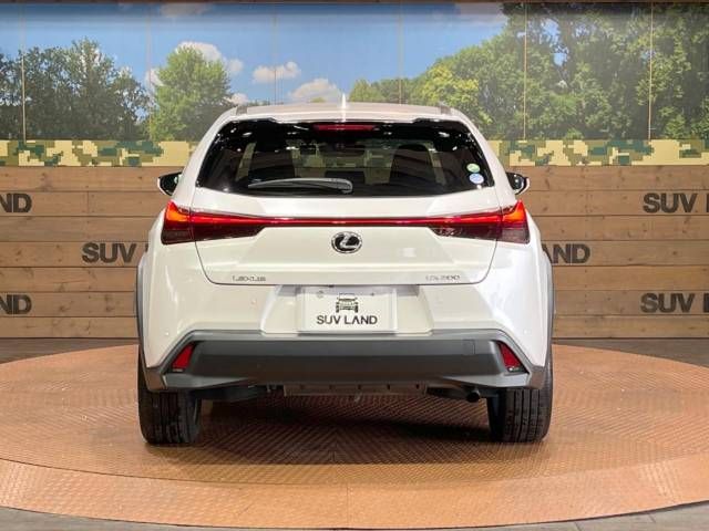 Lexus UX 2020-07 180603-15