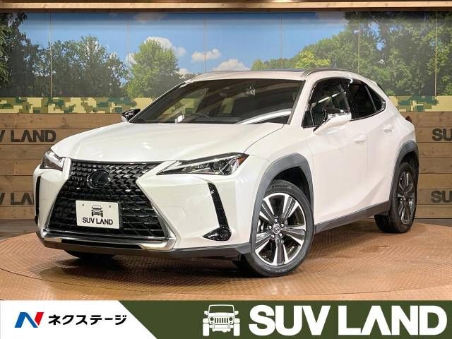 Lexus UX 2020-07 180603-0