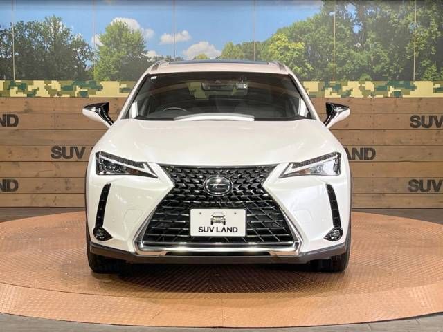 Lexus UX 2020-07 180603-14