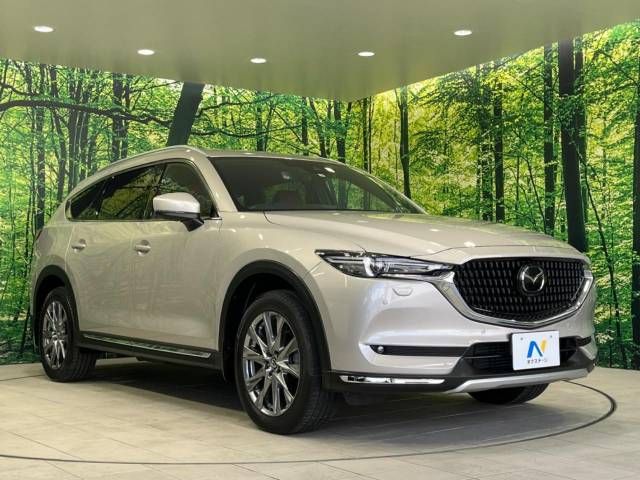 Mazda CX-8 2021-02 9127-17