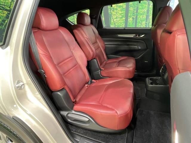 Mazda CX-8 2021-02 9127-9