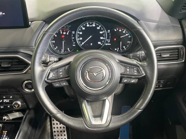 Mazda CX-8 2021-02 9127-12