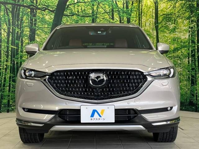 Mazda CX-8 2021-02 9127-15