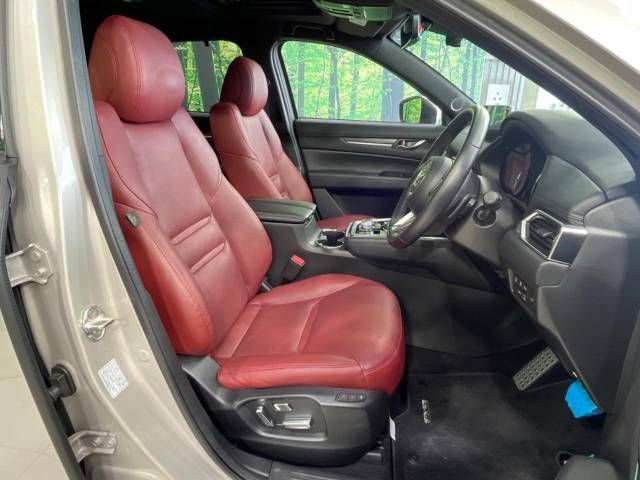 Mazda CX-8 2021-02 9127-8