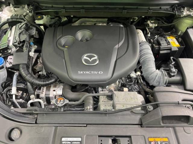 Mazda CX-8 2021-02 9127-18
