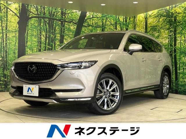 Mazda CX-8 2021-02 9127-0