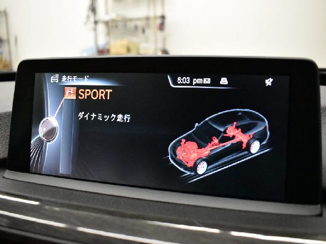Bmw 3 SERIES 2015-09 22066-27