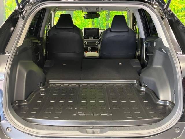 Toyota RAV4 2020-06 10625-10
