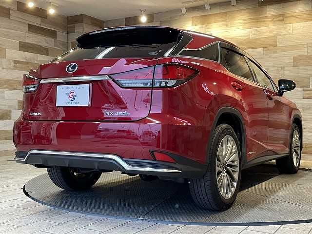Lexus RX 2020-01 22966-15