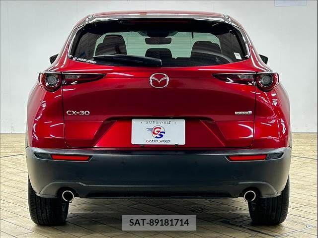 Mazda CX-30 2021-01 358504-18