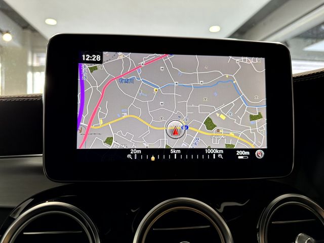 Mercedes Benz GLC-CLASS 2018-06 195448-14