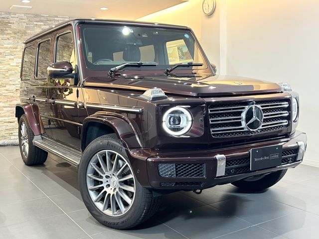 Mercedes Benz G-CLASS 2021-08 17977-0