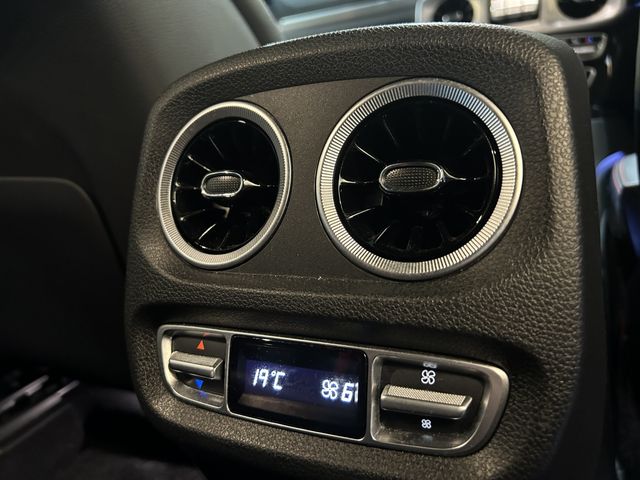 Mercedes Benz G-CLASS 2021-08 17977-16