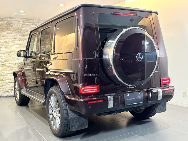 Mercedes Benz G-CLASS 2021-08 17977-1