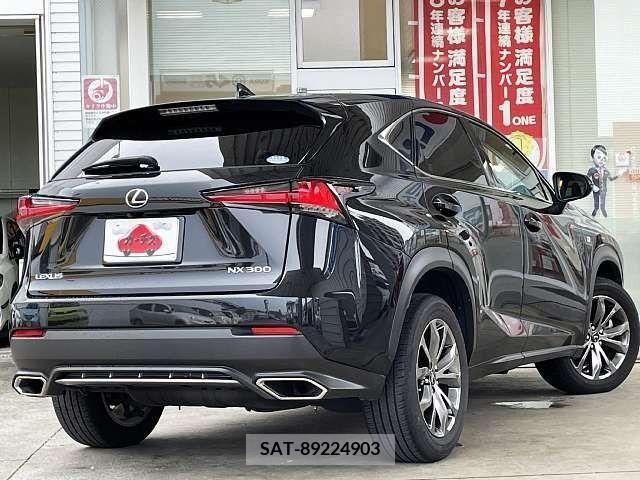 Lexus NX 2019-10 388384-2