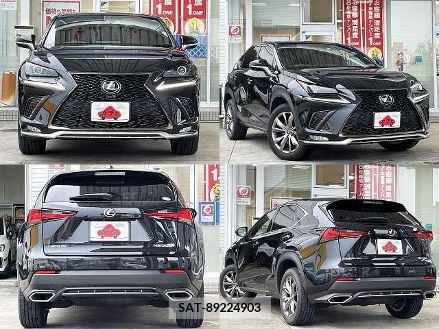 Lexus NX 2019-10 388384-8