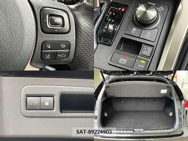 Lexus NX 2019-10 388384-7