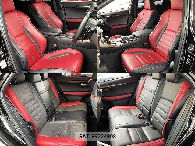 Lexus NX 2019-10 388384-4