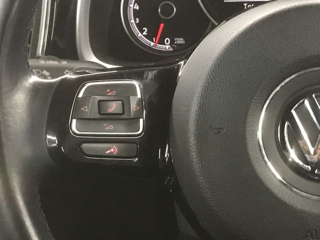 VolksWagen THE BEETLE 2017-12 27243-14