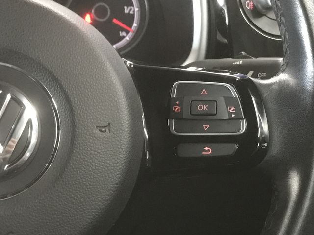 VolksWagen THE BEETLE 2017-12 27243-15