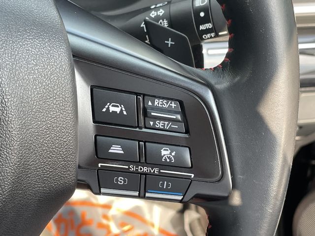 Subaru LEVORG 2016-12 25194-17
